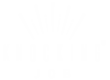 logo | Knocking Job
